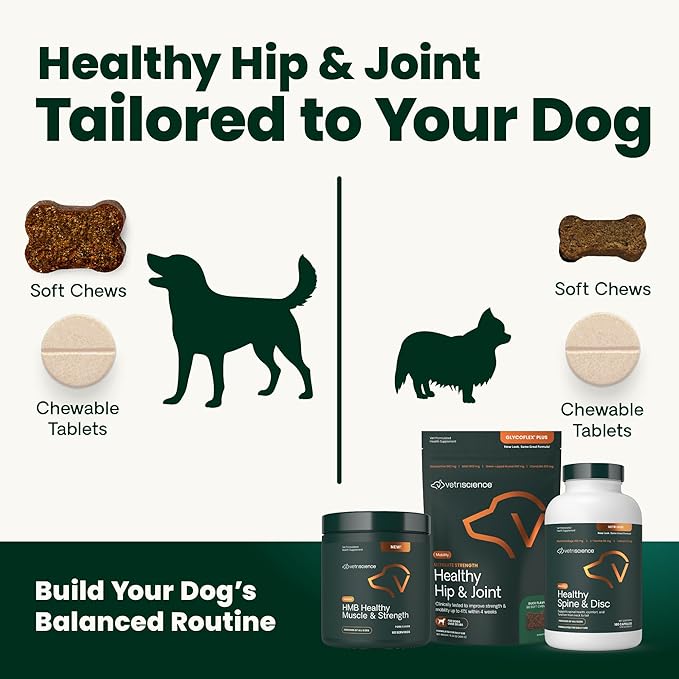 VetriScience Ultimate Strength Hip & Joint Supplement for Dogs, GlycoFlex Plus – MSM, Chondroitin & Green-Lipped Mussel Chews for Mobility, Flexibility, Comfort & Support, Bacon Flavor, 60 Cnt