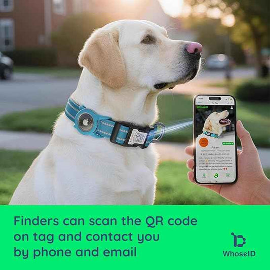 Airtag Dog Collar with QR Code, Reflective Dog Collar with Airtag Holder, Soft Padded & Safety Locking Buckle Adjustable Puppy Collar