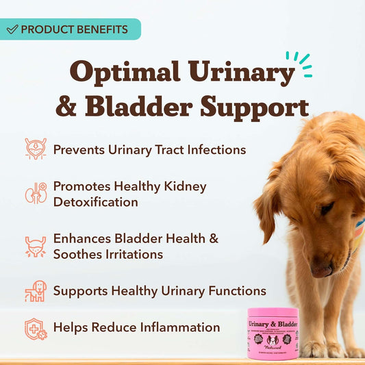 Natural Dog Company Urinary & Bladder Supplement for Dogs – Cranberry & D-Mannose Soft Chews with Marshmallow Root & Astragalus – Supports Urinary Tract Health, Bladder Function & Normal Urine Flow