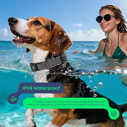 WhoseID Premium AirTag Dog Collar - Air Tag Small Dog Collar | Fur-Safe Magnetic Buckle | IPX8 Waterproof Reflective Dog Collar with AirTag Holder