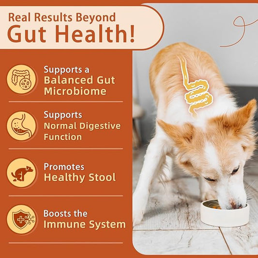 ZEBORA Probiotics for Dogs - Dog Probiotics, Pumpkin for Digestive & Gut Health, Digestive Enzymes & Prebiotic for Occasional Diarrhea, Support Immune, Skin & Allergies, 120 Soft Chews, Pumpkin Flavor