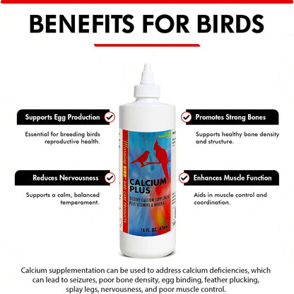 Morning Bird Calcium Plus Liquid Supplement for Birds - Liquid Calcium Formula with Magnesium and Vitamin D3 Calcium Supplement for All Birds – 16 Fl Oz