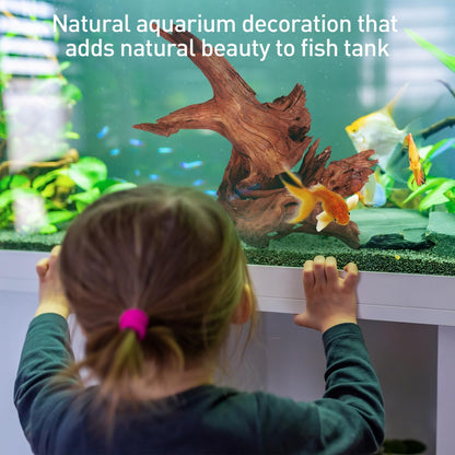 WDEFUN Natural Extral Large Driftwood for Aquarium Decor, 2-Piece 14''-18'' Driftwood for Decorations on Fish Tank, Reptiles Bearded Dragon Accessories or Air Plants