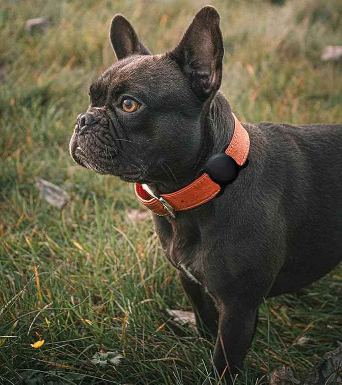 SWINCHO for AirTag 1st & 2nd Generation Holder[2 Pack] Waterproof High-Strength Elastic Silicone AirTag Dog Collar Holder (Yellow&Black)