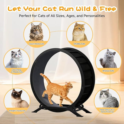 GTRACING Cat Wheels, 40" Diameter, Large Cat Exercise Wheel for Indoor Cats cat Treadmill Metal with Detachable Carpet & Teaser/Stickers, Ultra-Quiet Scroll Wheel with Latch, Safe and Stable, Dark
