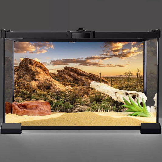 AWERT Reptile Habitat Background Blue Sky Oasis Cactus Sun and Desert Terrarium Background 30x12 inches Polyester Background