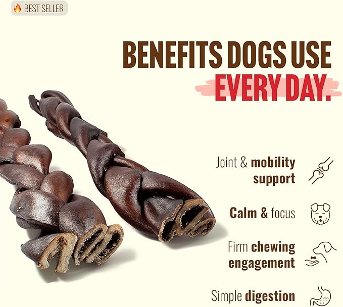 Natural Farm Odor Free Braided Collagen Chews for Dogs (12 Inch, 12 Pack), Collagen Sticks, Natural Dog Chews, Long Lasting, for Small, Medium and Large Dogs, Odor-Free, Rawhide Alternative
