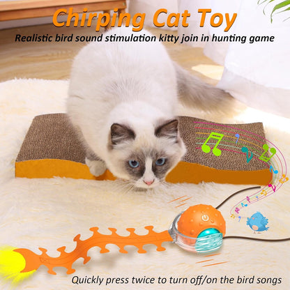 Interactive Cat Toys for Indoor Cats, Fast Rolling Cat Ball with Centipede Tail, Birds Chirping Touch Activated Automatic Kitten Toy, Rechargeable Toys for Cats to Keep Them Busy