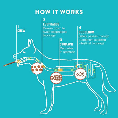TRURANCH Collagen Sticks - 5" Collagen Sticks for Dogs - Long Lasting Healthy Joint Support Dog Treat - Rawhide Alternative - Skin & Coat Health - Made with Real Chicken, 1 Bag, 15 Count