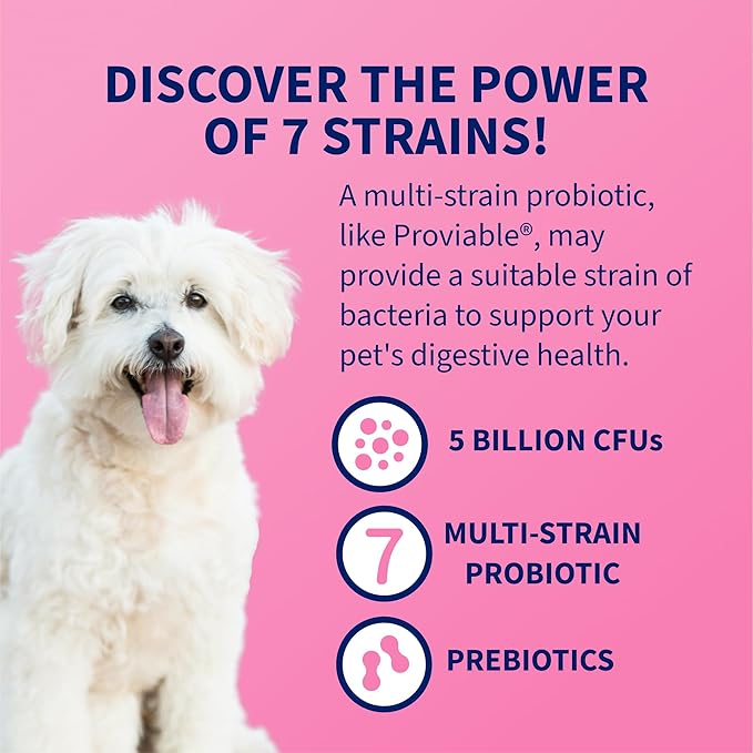 Nutramax Proviable Probiotics for Dogs, Daily Digestive Health Supplement with Multiple Strains of Bacteria, Dog Probiotics Plus Prebiotics, 60 Chewable Tablets,(Pack of 2)