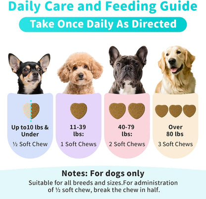 Probiotics for Dogs, Digestive Enzymes for Gut Health Support, Dog Fiber Supplement with Pumpkin for Diarrhea & Bowel Support, Upset Stomach & Gas Relief, Constipation - 60 Count Chicken Flavor