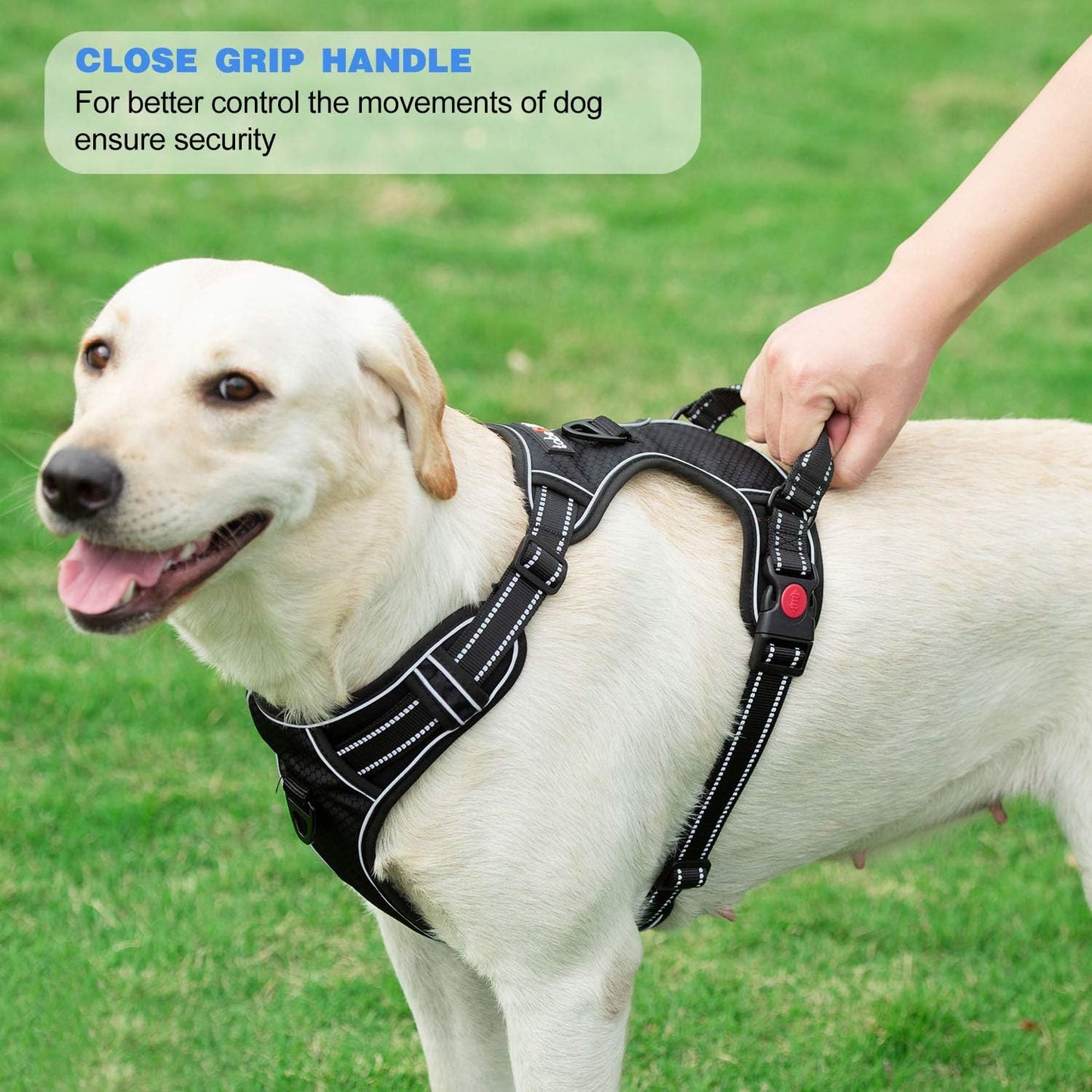 No Pull Dog Harness Adjustable Reflective Oxford Easy Control Medium Large Dog Harness with A Free Heavy Duty 5ft Dog Leash (S (Neck: 13"-18", Chest: 17.5"-22"), Blue Harness+Leash)