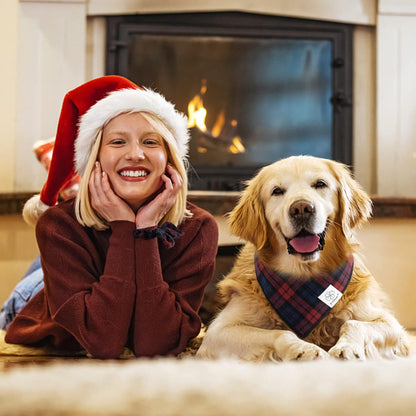 E-Clover Dog Bandanas & Matching Scrunchie Set Plaid Dog Scarf Bibs for Medium Large Dogs Girl Boy Pet Owner Gift Red Blue