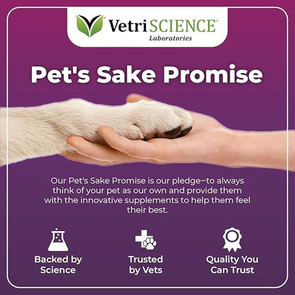 VetriScience Allergy Plus Immune Support Supplement for Dogs, Duck Flavor, 75 Chews & Omega Plus Advanced Skin Supplement for Dogs, 40 Chews