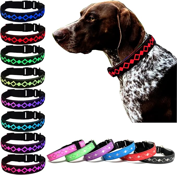 LED Dog Collar with AirTag Holder and Custom ID Tag, 15 Light Modes, Waterproof, Multiple Colors (Black, M(11.8-15.7"))