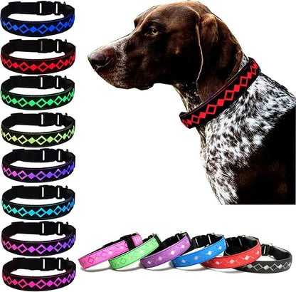 LED Dog Collar with AirTag Holder and Custom ID Tag, 15 Light Modes, Waterproof, Multiple Colors (Black, M(11.8-15.7"))