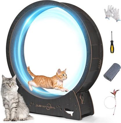 Cat Exercise Wheel, 50" Cat Running Wheel for Indoor Cats with Locking Mechanism, Cats Treadmill Wheels with Quiet Carpeted Runway, Cat's Weight Loss and Health - Black