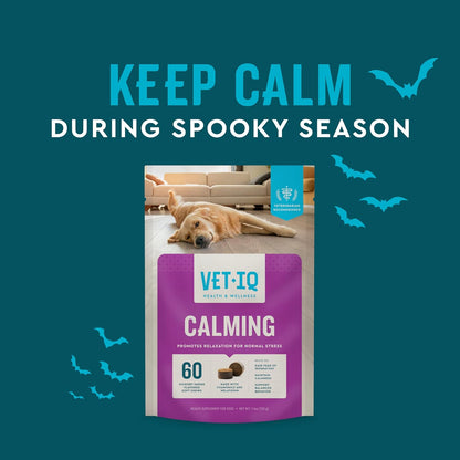 VetIQ Calming Support Supplement for Dogs, Calming Chews Help Manage Stress and Promote Relaxation, Anxiety Relief for Dogs, Made in The USA, 120 Count