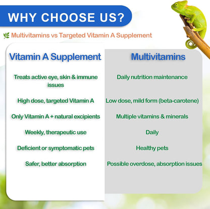 Reptile Vitamin A Supplement – Eye Health Support for Lizards, Turtles, Snakes & Amphibians – Promotes Growth, Vision & Immunity