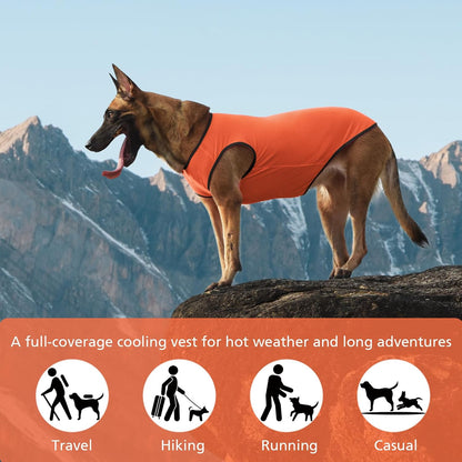 2 Pack Cooling Shirts for Dogs, Lightweight Mesh Breathable Dog Clothes for Small Dogs Boy Girl,Sun-Protection Sleeveless Shirts for Dog&Cat Puppy Vest Pet Apparel - M