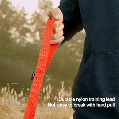 Siumouhoi Dog/Puppy Obedience Recall Training Agility Lead - 15ft 20ft 30ft 40ft 50ft Training Leash - Great for Play, Camping, or Backyard - Orange 50ft