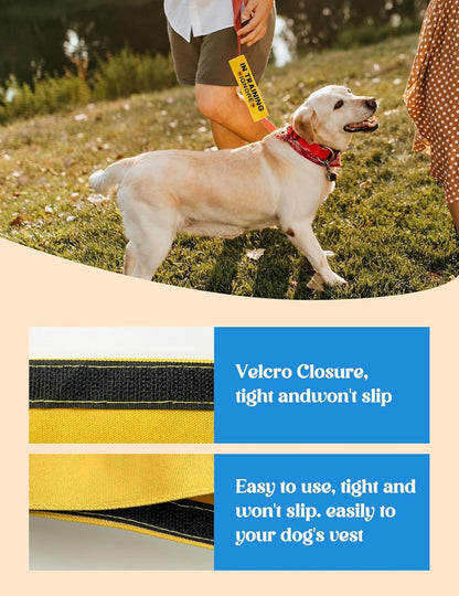 Training Ignore Dog Sleeve - Funny Yellow Leash Wrap Alert Hanging ID Patch Tag, Service Dog Leash Wrap, Pet Birthday Gifts