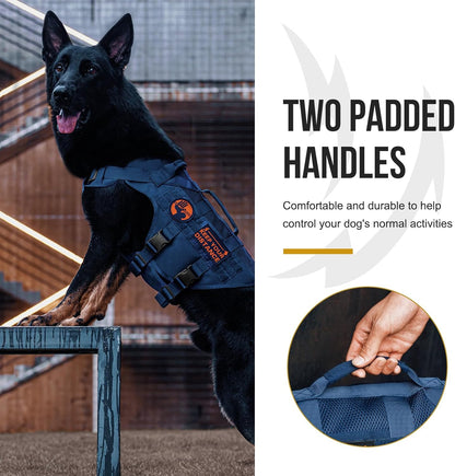 OneTigris Tactical Dog Harness for Small Medium Large Dogs, Mesh Design Service Dog Vest Breathable Military Dogs Molle Vests with Handles, Harness for Walking Hiking Training (Blue, L)