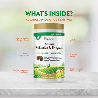 NaturVet Advanced Probiotics & Enzymes, PB6 Dog Soft Chews to Help Sensitive Stomachs and Digestive Issues, Hickory Smoked Bacon Flavored Pet Supplement for Dogs Over 6 Weeks, 240 Count Jar