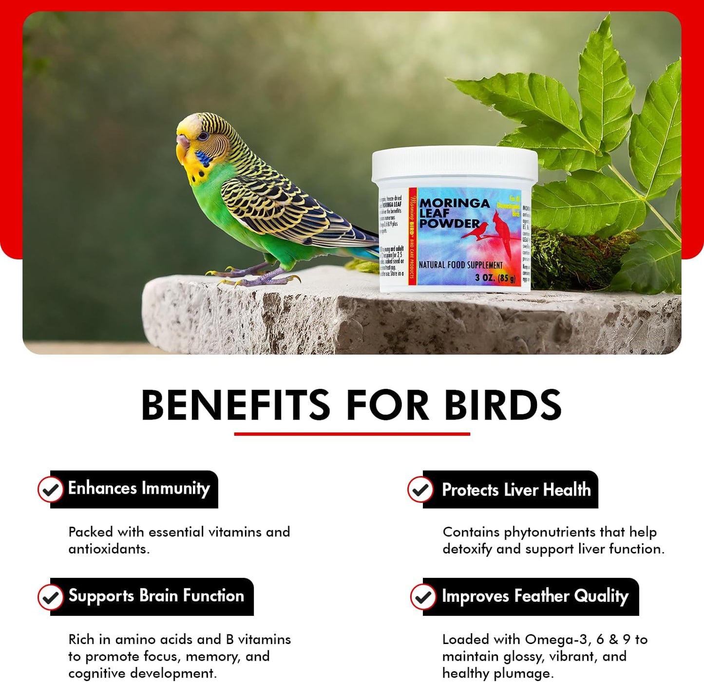 Morning Bird Moringa Leaf Powder 3 oz – Natural Food Supplement for Birds, Rich in Vitamins & Minerals, Boosts Immune System & Energy, Supports Healthy Feathers, Digestion, and Overall Avian Wellness