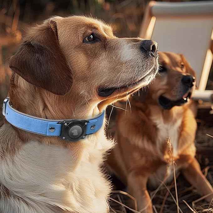 Leather AirTag Dog Collar, Waterproof Dog Collar with Air Tag Holder, Compatible with Apple Air Tag, Reflective, Durable, Comfortable Padded GPS Dogs Collars (Blue, XL)