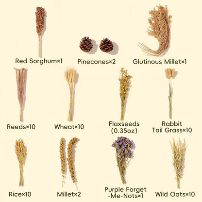 BUCATSTATE Natural Hamster Bedding - Flowers & Herbs & Sprays for Cage Habitat Decor - Treat Cereal Grain for Dwarf Syrian Gerbils, Mice, Rat, Forage, Enrichment (58PCS)