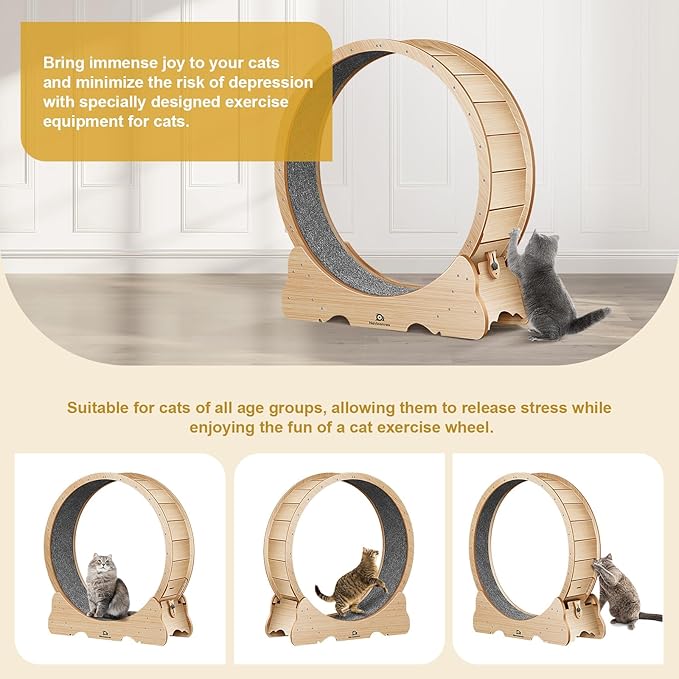Cat Wheel, 53" XXL Large Cat Treadmill for Indoor Pets, Cats Exercise Running Wheel with Detachable Carpet, Quiet and Sturdy, Suitable for Most Cats Running/Walking/Training