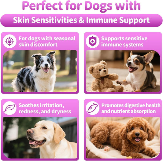 Dog Allergy Relief Chews, Itch Relief for Dogs – Turmeric & Omega-3 Supplements for Skin Comfort, Coat Health & Seasonal Support, Immune Care with Biotin & Quercetin – Chicken Flavor, 90 Count