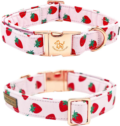 Elegant little tail Dog Collar, Strawberries Print Pet Collar Summer Dog Collar Durable Metal Buckle Dog Collars Cotton Pet Adjustable Dog Collars for Small Dogs