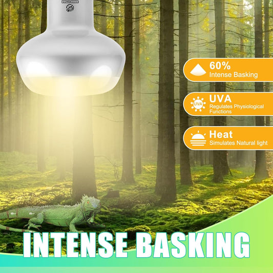 Reptile Heat Lamp 2Pack 50W, Intense Basking Spot Light Bulb with UVA, Simulate Natural Daylight Heat Bulb for Reptile, Turtle, Bearded Dragon, Lizard, Tortoise, Gecko, Snake