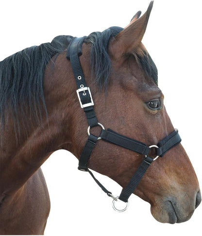 Horse Halter with Wool Lining, Adjustable Halter for Horses Satin Hardware to Prevent Friction, Breakaway Halters for Horses,Perfect for Traction and Performance