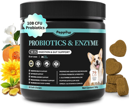 Probiotics for Dogs, Digestive Enzymes for Gut Health Support, Dog Fiber Supplement with Pumpkin for Diarrhea & Bowel Support, Upset Stomach & Gas Relief, Constipation - 60 Count Chicken Flavor