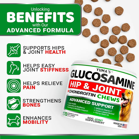 YUMA'S (2 Pack) Glucosamine for Dogs - Hip and Joint Supplement for Dogs - Glucosamine Chondroitin Chews - Joint Pain Relief Supplement with MSM - Advanced Health - Mobility Support - Made in USA