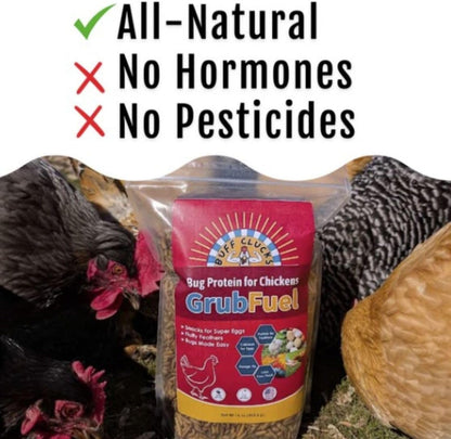 Grub Fuel Black Soldier Fly Larvae for Chickens - Nutrient Packed BSFL, Sustainably Sourced Snack for Poultry, Rich in Protein, Calcium, Fiber, Essential Fatty Acids, USA Grown (5LB)