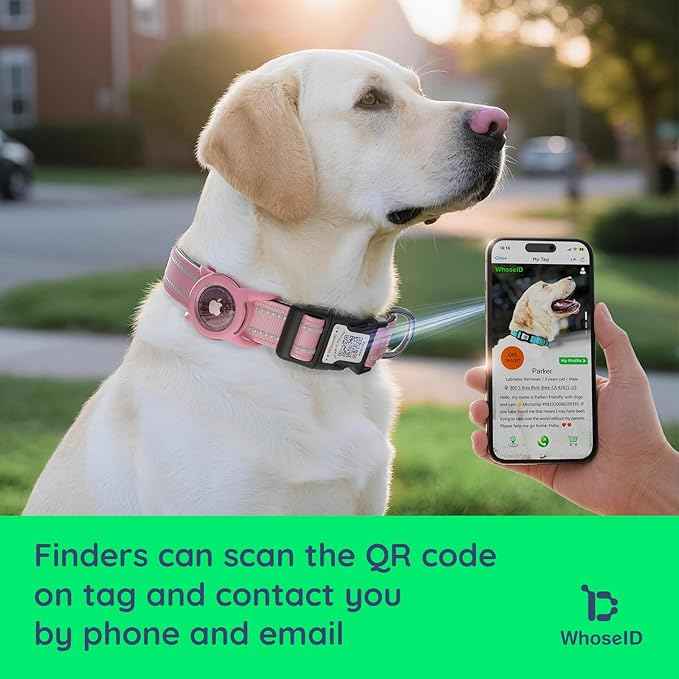 Airtag Dog Collar with QR Code, Reflective Dog Collar with Airtag Holder, Soft Padded & Safety Locking Buckle Adjustable Puppy Collar