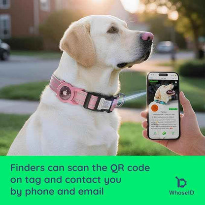 Airtag Dog Collar with QR Code, Reflective Dog Collar with Airtag Holder, Soft Padded & Safety Locking Buckle Adjustable Puppy Collar