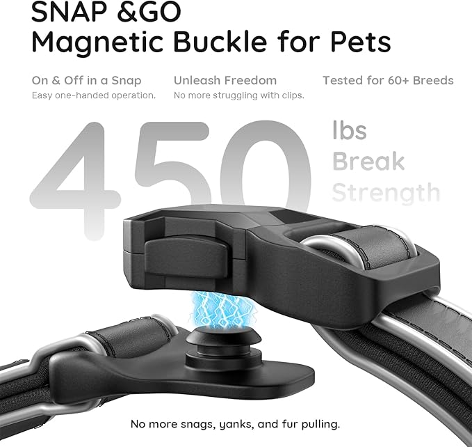 WhoseID Premium Leather Dog Collar - AirTag Dog Collar | Fur-Safe Magnetic Buckle | IPX8 Waterproof Reflective Small Dog Collar with AirTag Holder