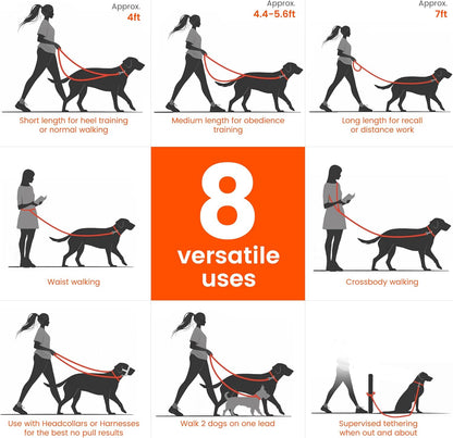 HOWGO 8-in-1 Multifunctional Hands Free Dog Training Leash with Padded Handle,8.5 FT Nylon Adjustable Length,Lightweight Aviation Aluminum,Crossbody Waist Leash for Puppy Medium Large Dogs (MintGreen)