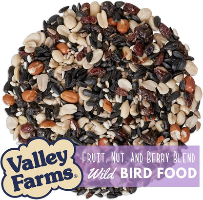 Valley Farms Fruit Nut & Berry (4 LB) Wild Bird Food Outside Feeders, Bird Seed with Dried Fruit, Peanuts, Sunflower, and Safflower, High Energy Mix for Healthy Birds!