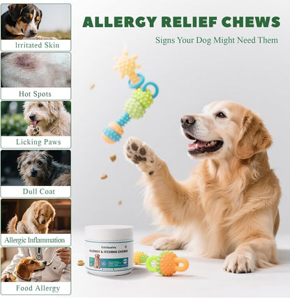 Dog Allergy Chews, Dog Itch Relief Chews for Large Dogs Paw Licking Itchy Skin, Probiotics with Omega-3 Turmeric Astragalus for Coat Immune Supplement-200ct