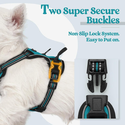 rabbitgoo Dog Harness No Pull with 2 Leash Clips, Adjustable Soft Padded, Reflective Oxford No Choke Pet Vest with Easy Control Handle for Puppy, Teal, XS