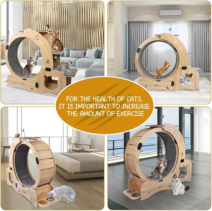 6-in-1 Cat Exercise Wheel, Upgraded Large Cat Wheel Exerciser, Running Wheels for Indoor Cats, Cats Wheel with Silent (Wood)
