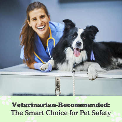 Canine Hitch- Secure Dog Leash Parking Indoor- Outdoor Wall Hook with Clip - Tie Out Stainless Steel - Practical Lead Management for Home & Business