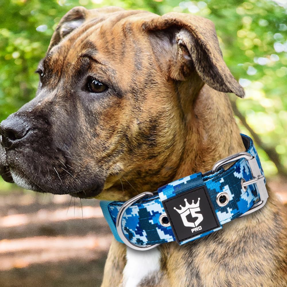 TSPRO Tactical Dog Collar 1.5 Inch Wide Thick Dog Collars with Heavy Duty Metal Buckle, Durable, Strong, Adjustable for Medium to Large Dogs (Camo Blue M)