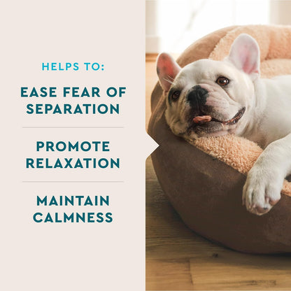 VetIQ Advanced Calming Support Supplement for Dogs, Calming Chews Help Manage Stress and Promote Relaxation, Anxiety Relief for Dogs, Made in The USA, 60 Count